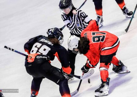 سومین برد ام دات آر در شب درخشان نگار ارجمند